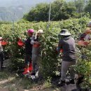 무주농업협동조합 이미지