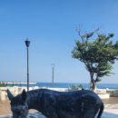 새천년펜션 이미지