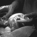 희망의 손 이미지