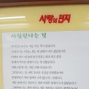 짱신 Daum카페