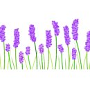 라벤다공인중개사사무소 이미지