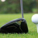 MAX(맥스) 이미지