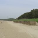 제77회 정기여행(26.01) 동서트레일1코스(안면휴양림-백사장항) 이미지