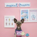 퍼피포유 이미지