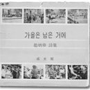 1950년대를 대표하는 한국 문학가/조병화 이미지