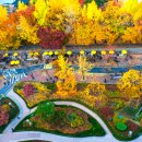 청파로(서측) 이미지