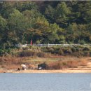 민들레모텔 이미지