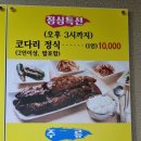 금강코다리 이미지