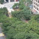에스지 기술환경산업(주)