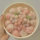 양천구 목동 '호월당' 바람떡 꽃송편 : 상견례 선물 추천 / 명절 선물 내돈내산 후기
