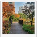 이편한세상행운공인중개사사무소 이미지