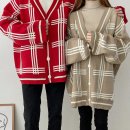 브이핏 이미지