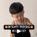 나비선물