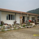 대자연민박 이미지