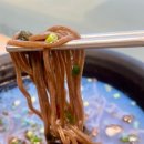 별별코인노래연습장 이미지