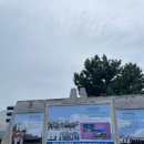 어쩌다 걷게 된 비오는 날의 제주 올레길 18,19코스