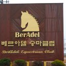 세계승마클럽 이미지