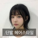 잠실 프리프헤어 단발 스타일 후기, 분위기 변화 분석