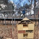 남산공원길1 이미지