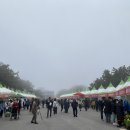 신안 | 신안 튤립축제 주말 후기(입장 꿀팁)