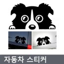 프리티도그 이미지