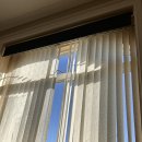 (주)아비크 | 🇨🇦밴쿠버워홀ㅣ밴쿠버에서 두번째로 맞이한 3월 summary