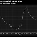 Swelling Global Grain Glut Spurs Biggest Bearish Bet Since June-브룸버그 11/17 : 국제 곡물 재고 지속증가 곡물가 하락 배경과 전망 이미지