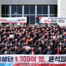 대한민국수호예비역장성단 | 대수장, 대한민국수호 예비역장성단, 장군의소리, 예비역 800명, 극우 단체