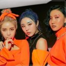 콘서트375 이미지