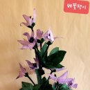 전통생활지화전승보존회