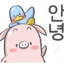 펀비어킹고덕