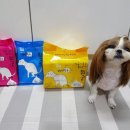 펫아이맘
