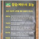 나라매점
