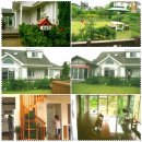 펜션단지 이미지