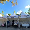 광장20호 | 2025 대전미술품직거래 프리마켓 대전시립미술관 광장 아트마켓