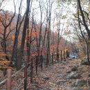 지리산 단풍비 이미지