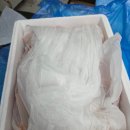 광명로 110번길 | 홍게러버 출동 - 홍게 대게 포장 배달 맛집 홍게양대게군 성남점 내돈내산 또또간집