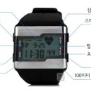 베스트스포츠 - 제주시 진남로6길 38 | 베스트스포츠