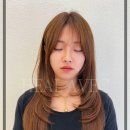 힐아베크헤어 이미지