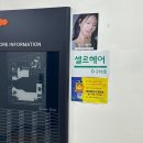 셀르헤어
