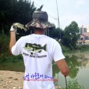 청도천7 이미지