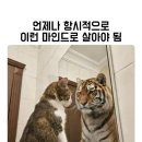 (주)송아 | [26.03] 3월을 보내며 - 행복하다 행복하다 행복하다!