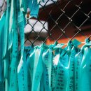 파주통일경기-파주-통일5 이미지