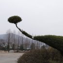 성원목장 이미지