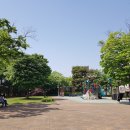 팽성어린이공원 주변 이미지