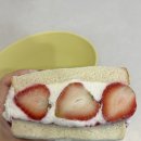 망원동 과일산도 맛집 카페떰비 후르츠산도 후기 투떰즈업 카페