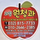 원청 | W2. 양가 첫인사 선물 추천, 과일 퀄리티로 승부하는 인천 동춘동 ‘원청과’ 내돈내산 후기