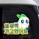 벨르 이미지
