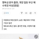 해수욕장에 맹독성 문어 출현, 해수욕장 비상 이미지