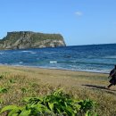 열린여행길 이미지